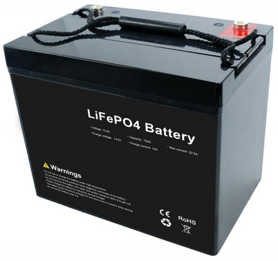 Аккумуляторна батарея Saftec LiFePO4 12V 60Ah 384747 фото